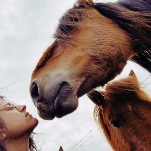 Meet your Posher, Taren